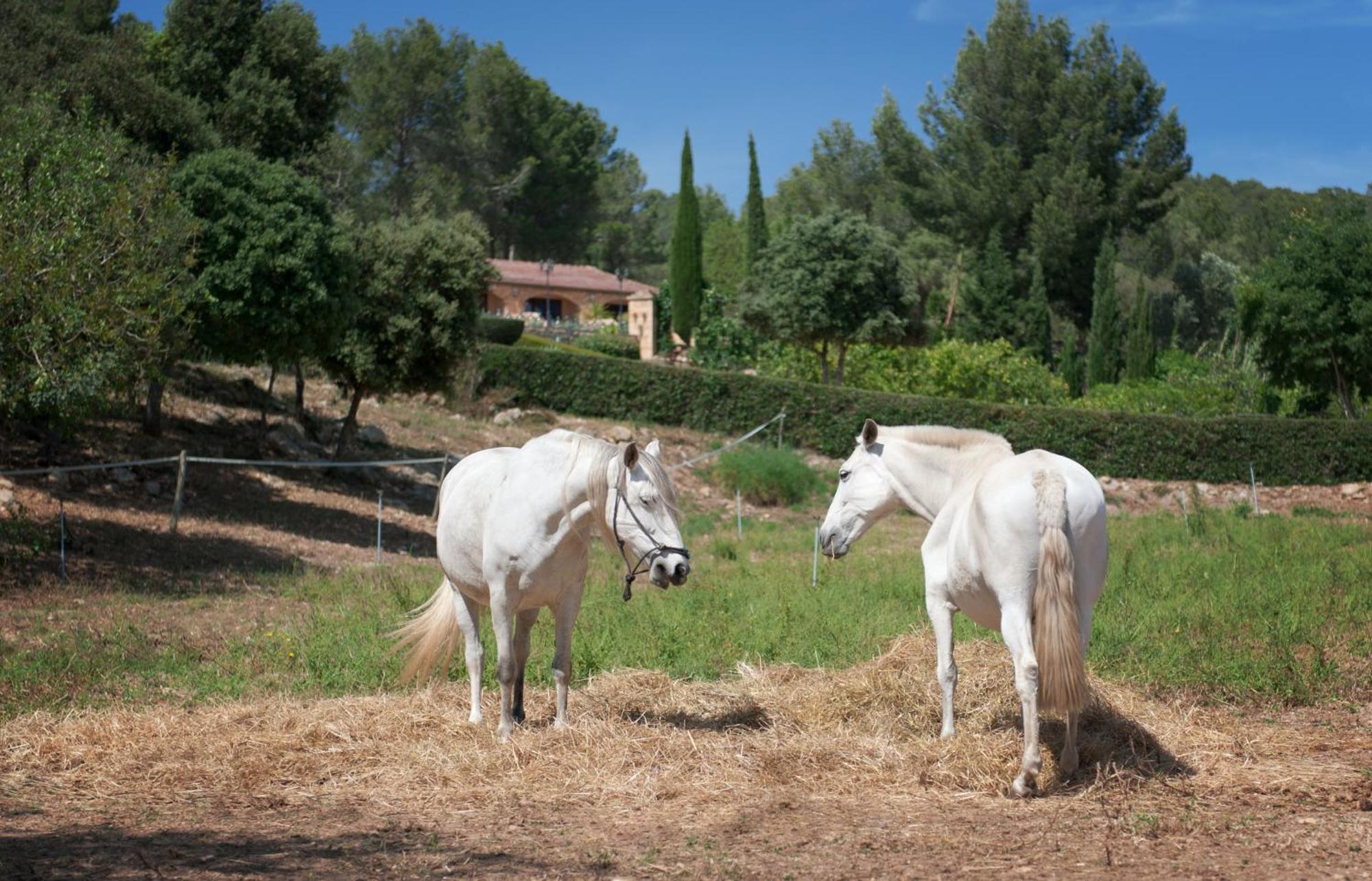 Agroturisme Son Sama Llucmajor  Exterior foto